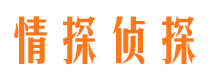 新宁侦探公司